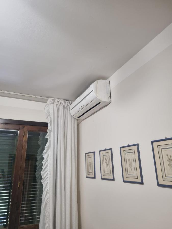 Dimora Fiore Daire Lucca Dış mekan fotoğraf